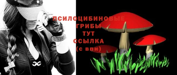 мет Пересвет